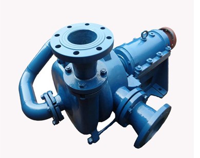 Specialized Pump for Coal Washing Plants